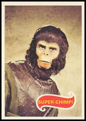 66 Super-Chimp